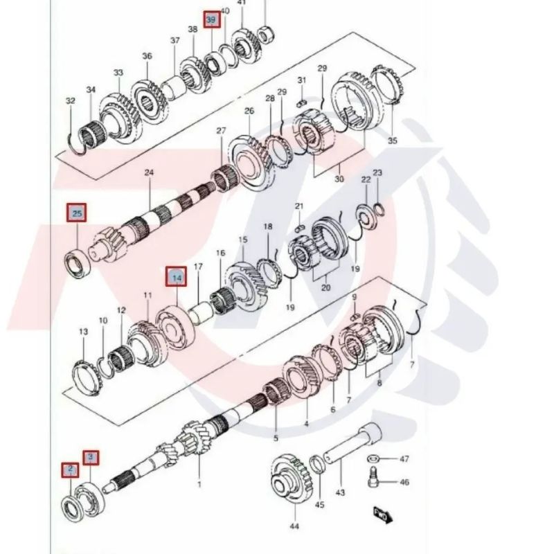 Rodamientos + Retenes Eje Palier Caja Suzuki Celerio 1.0